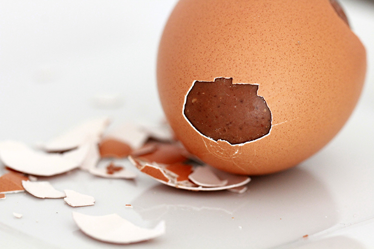 Oeufs praliné de Pâques - Véritable œuf coquille en chocolat